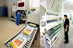 家庆牌“秦巴香米”