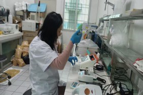 多措并举  抓好秋粮收购工作